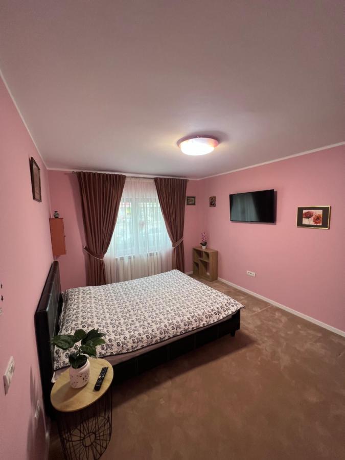 Apartament Ingrid Piatra Neamt Ngoại thất bức ảnh