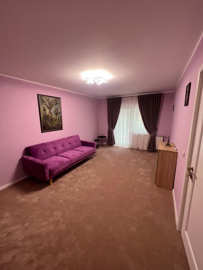 Apartament Ingrid Piatra Neamt Ngoại thất bức ảnh